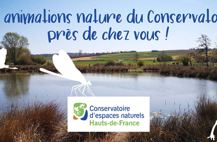 Les animations nature près de chez vous avec le Conservatoire d’espaces naturels des Hauts-de-France 🦉